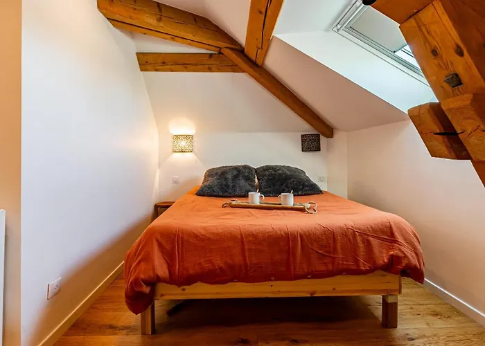 Appartement Sous Les Toits De Fleury *