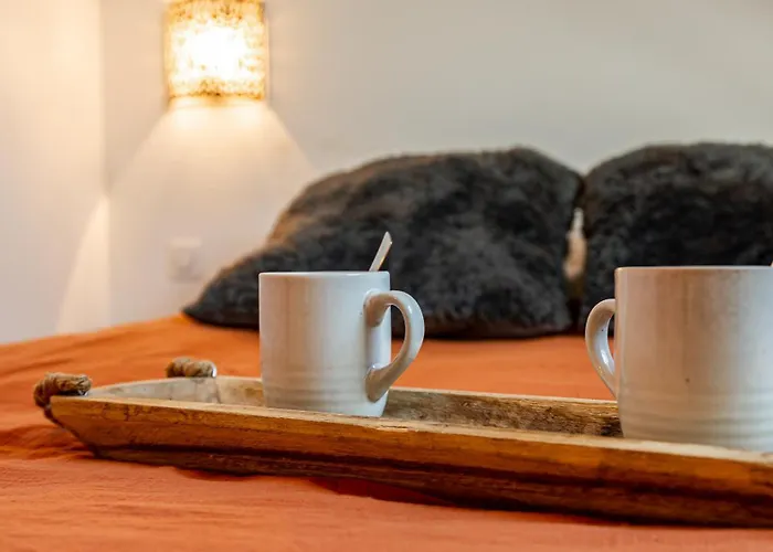 Sous Les Toits De Fleury Appartement *